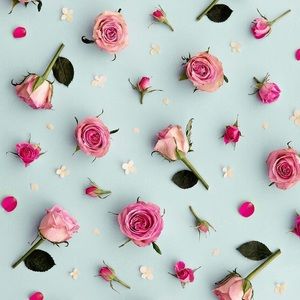 Meet your Posher, Thania